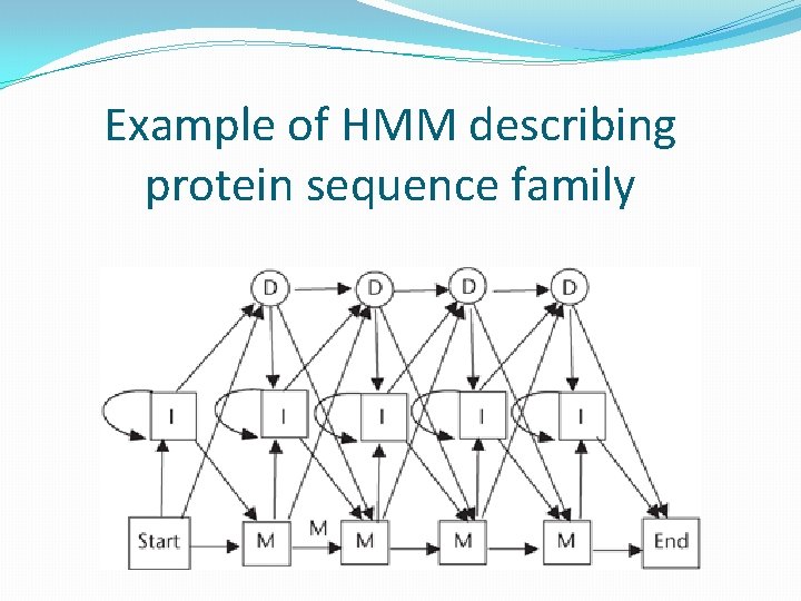 Example of HMM describing protein sequence family 