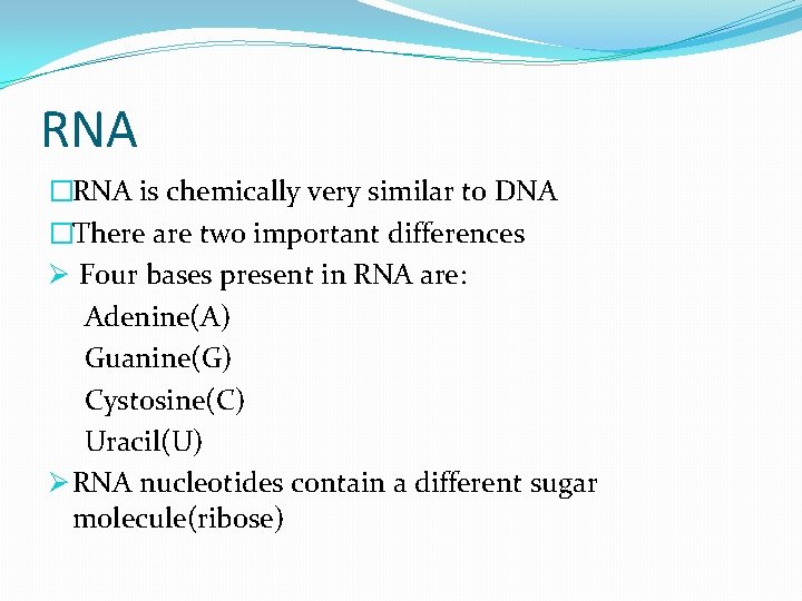 RNA �RNA is chemically very similar to DNA �There are two important differences Ø