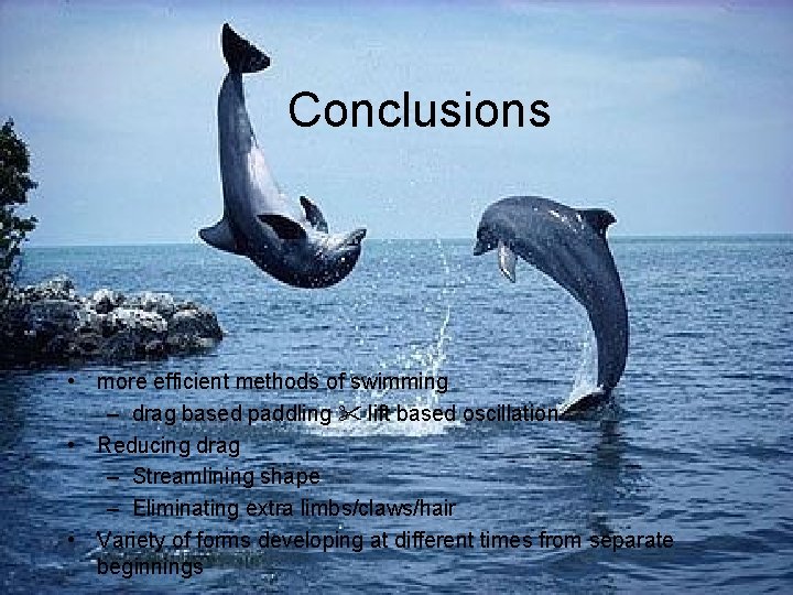 Conclusions • more efficient methods of swimming – drag based paddling lift based oscillation