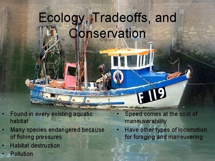 Ecology, Tradeoffs, and Conservation • Found in every existing aquatic habitat • Many species