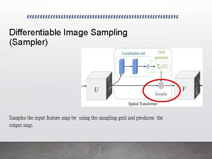 Differentiable Image Sampling (Sampler) Samples the input feature map by using the sampling grid