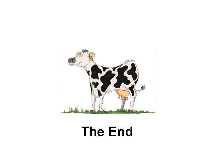 The End 