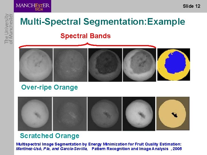Slide 12 Multi-Spectral Segmentation: Example Spectral Bands Over-ripe Orange Scratched Orange Multispectral Image Segmentation