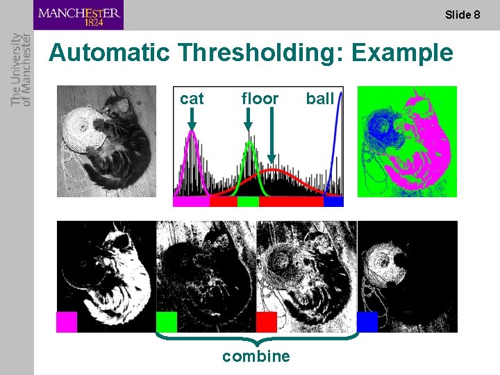 Slide 8 Automatic Thresholding: Example cat floor combine ball 