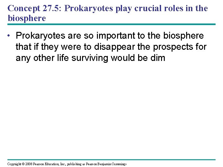 Concept 27. 5: Prokaryotes play crucial roles in the biosphere • Prokaryotes are so
