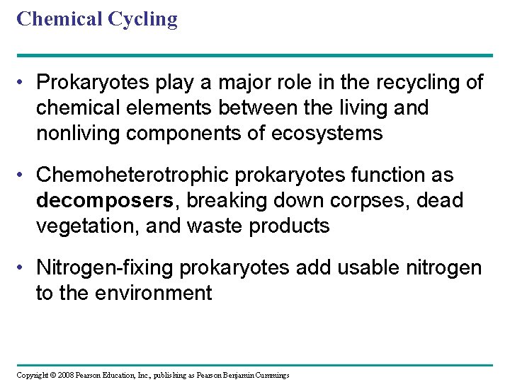 Chemical Cycling • Prokaryotes play a major role in the recycling of chemical elements