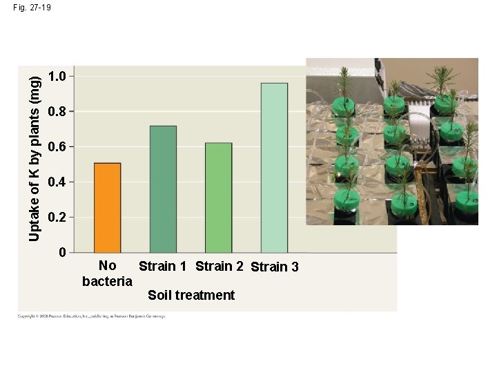 Uptake of K by plants (mg) Fig. 27 -19 1. 0 0. 8 0.