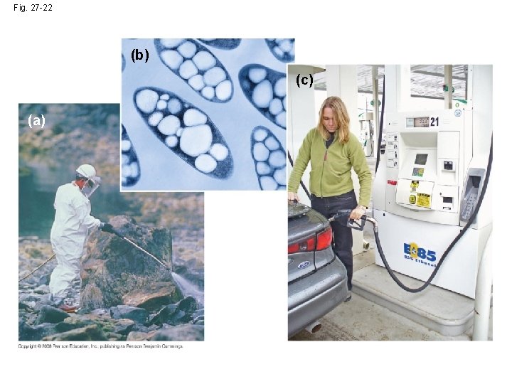 Fig. 27 -22 (b) (c) (a) 