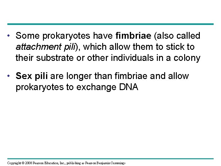  • Some prokaryotes have fimbriae (also called attachment pili), which allow them to