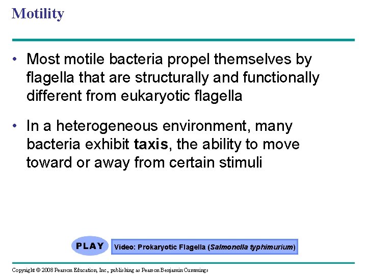 Motility • Most motile bacteria propel themselves by flagella that are structurally and functionally