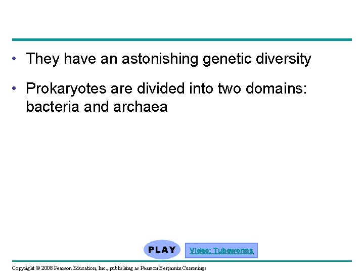  • They have an astonishing genetic diversity • Prokaryotes are divided into two