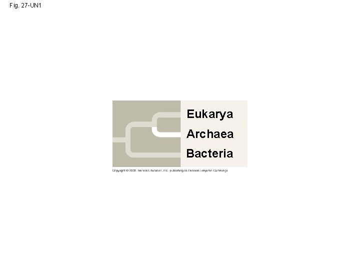 Fig. 27 -UN 1 Eukarya Archaea Bacteria 