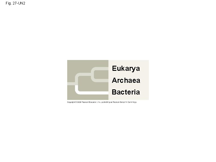 Fig. 27 -UN 2 Eukarya Archaea Bacteria 