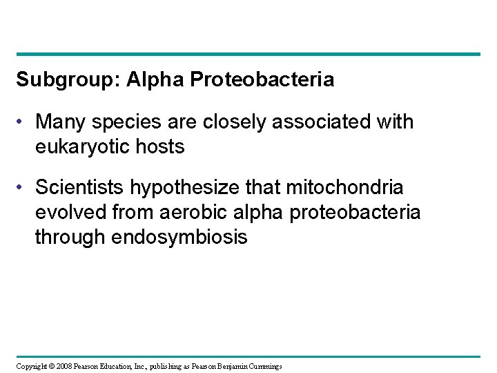 Subgroup: Alpha Proteobacteria • Many species are closely associated with eukaryotic hosts • Scientists