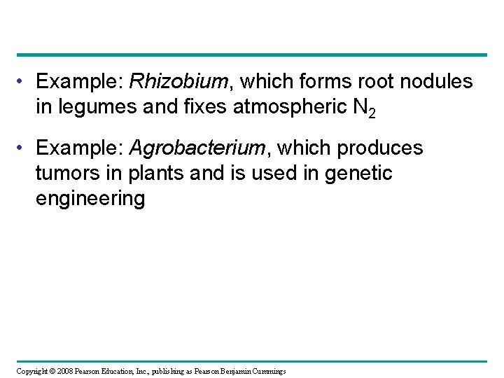  • Example: Rhizobium, which forms root nodules in legumes and fixes atmospheric N