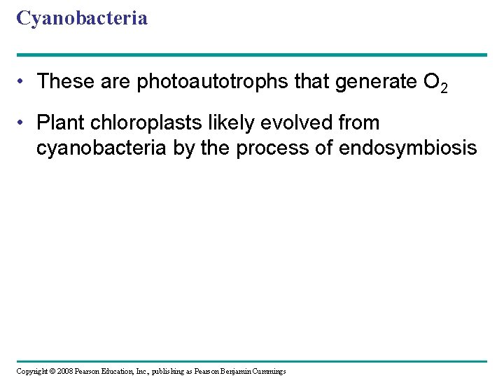 Cyanobacteria • These are photoautotrophs that generate O 2 • Plant chloroplasts likely evolved