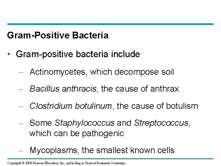 Gram-Positive Bacteria • Gram-positive bacteria include – Actinomycetes, which decompose soil – Bacillus anthracis,