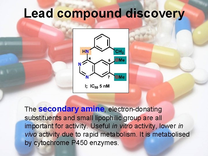 Lead compound discovery The secondary amine, electron-donating substituents and small lipophilic group are all