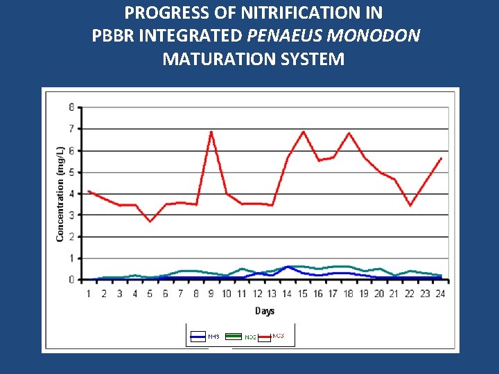 PROGRESS OF NITRIFICATION IN PBBR INTEGRATED PENAEUS MONODON MATURATION SYSTEM 