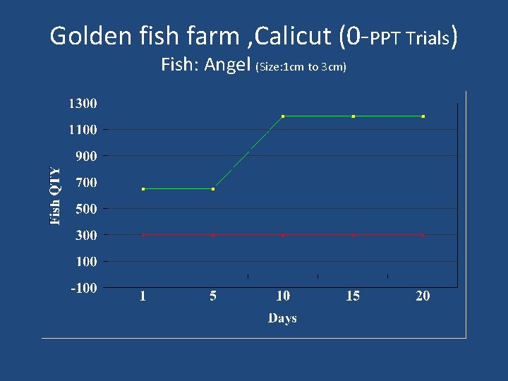 Golden fish farm , Calicut (0 -PPT Trials) Fish: Angel (Size: 1 cm to