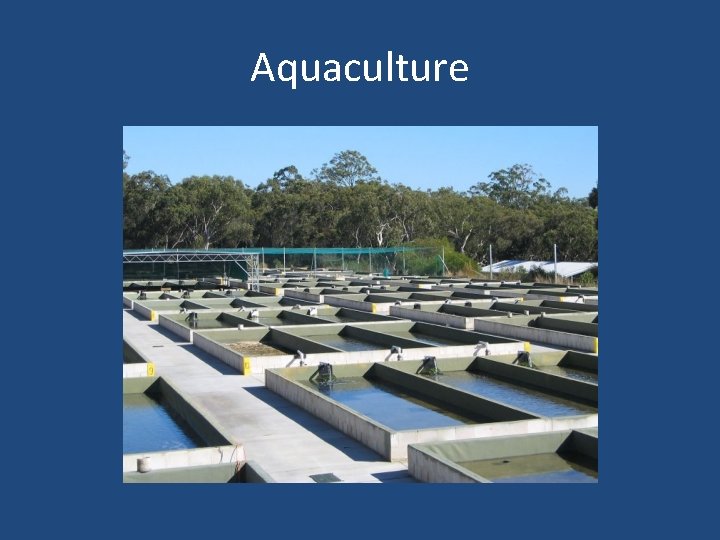 Aquaculture 