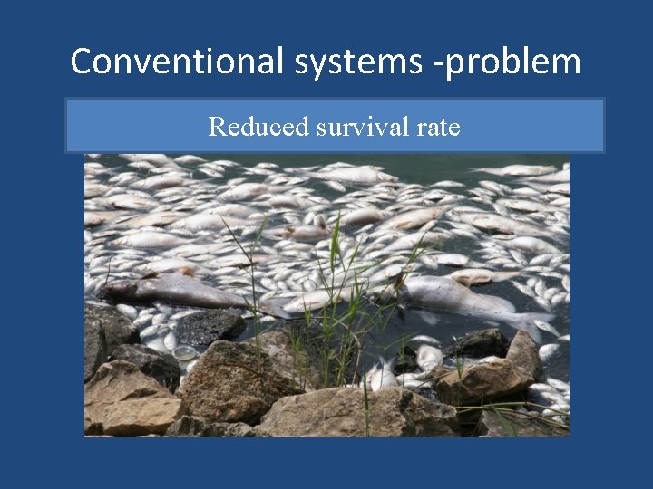 Conventional systems -problem Reduced survival rate 