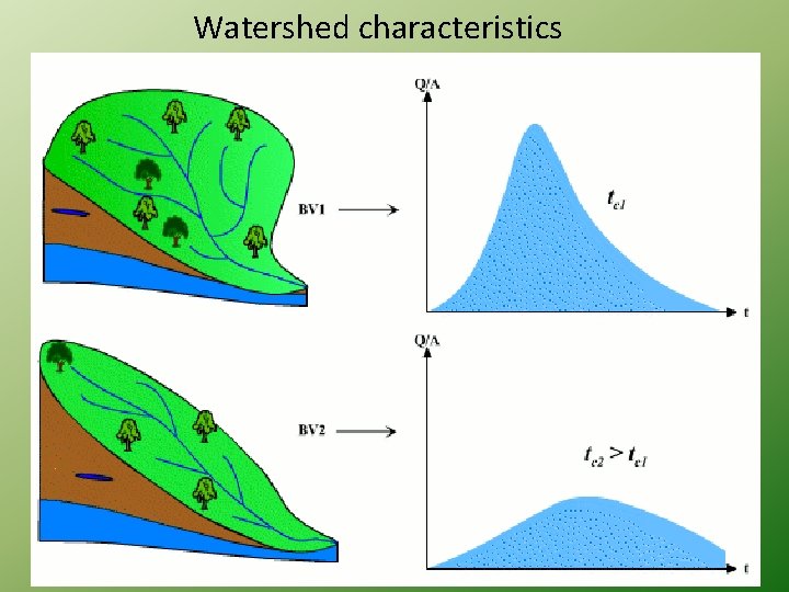 Watershed characteristics 