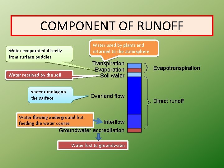 COMPONENT OF RUNOFF Water used by plants and returned to the atmosphere Water evaporated