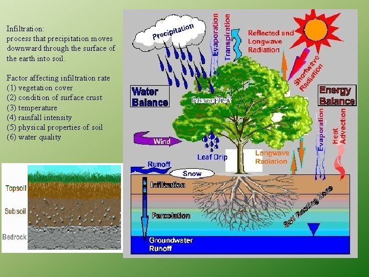 Infiltration: process that precipitation moves downward through the surface of the earth into soil.