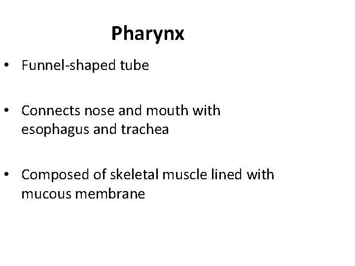 Pharynx • Funnel-shaped tube • Connects nose and mouth with esophagus and trachea •