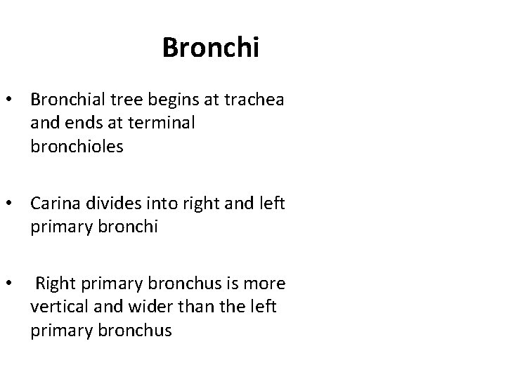 Bronchi • Bronchial tree begins at trachea and ends at terminal bronchioles • Carina