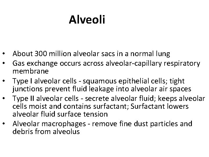 Alveoli • About 300 million alveolar sacs in a normal lung • Gas exchange