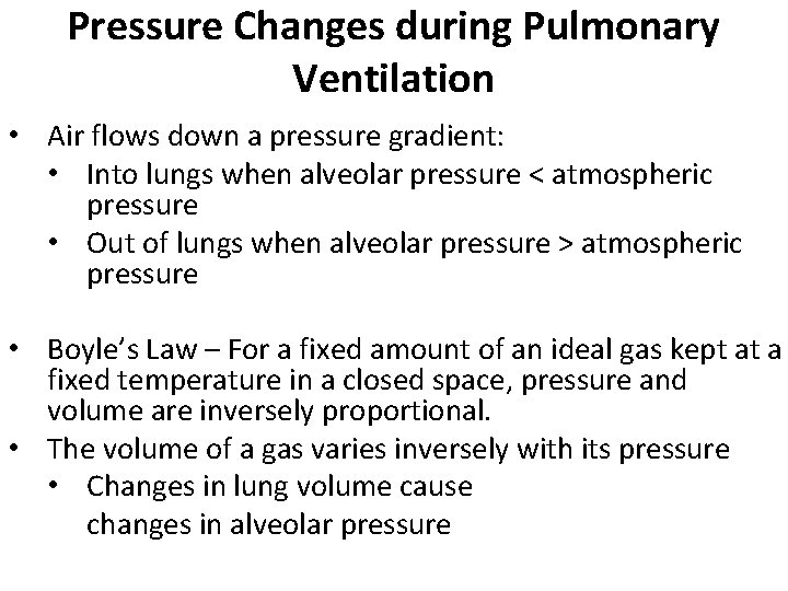 Pressure Changes during Pulmonary Ventilation • Air flows down a pressure gradient: • Into