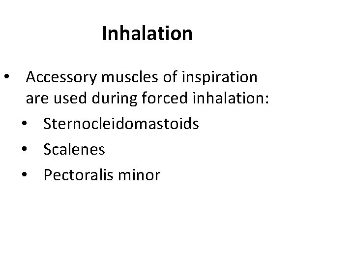 Inhalation • Accessory muscles of inspiration are used during forced inhalation: • Sternocleidomastoids •