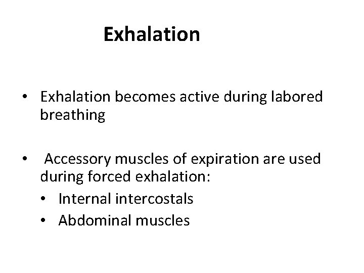 Exhalation • Exhalation becomes active during labored breathing • Accessory muscles of expiration are