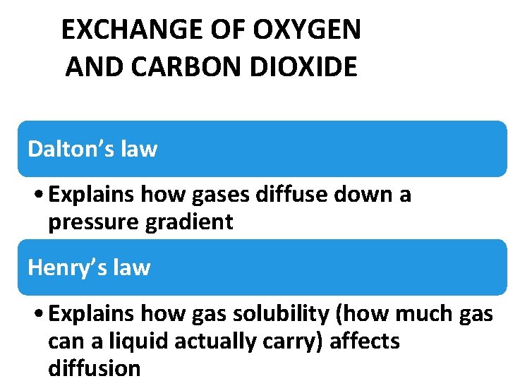 EXCHANGE OF OXYGEN AND CARBON DIOXIDE Dalton’s law • Explains how gases diffuse down