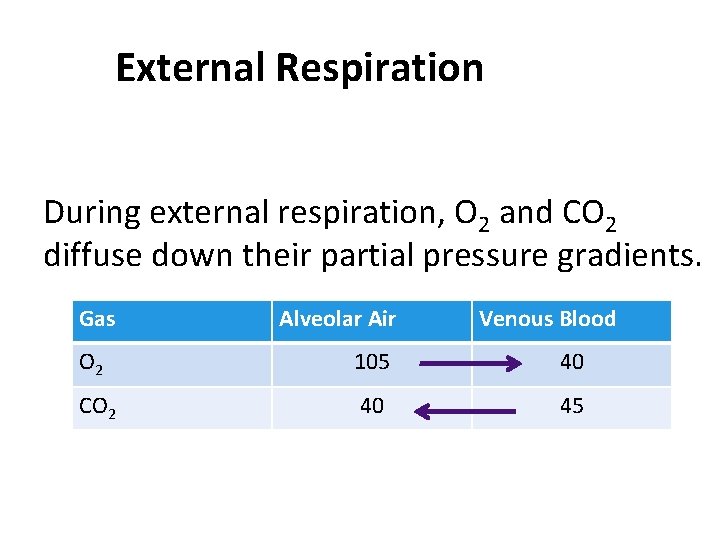 External Respiration During external respiration, O 2 and CO 2 diffuse down their partial