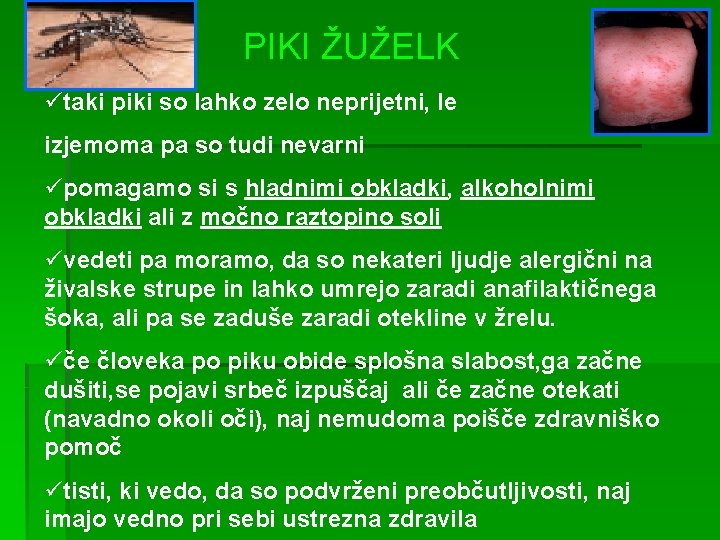 PIKI ŽUŽELK ütaki piki so lahko zelo neprijetni, le izjemoma pa so tudi nevarni