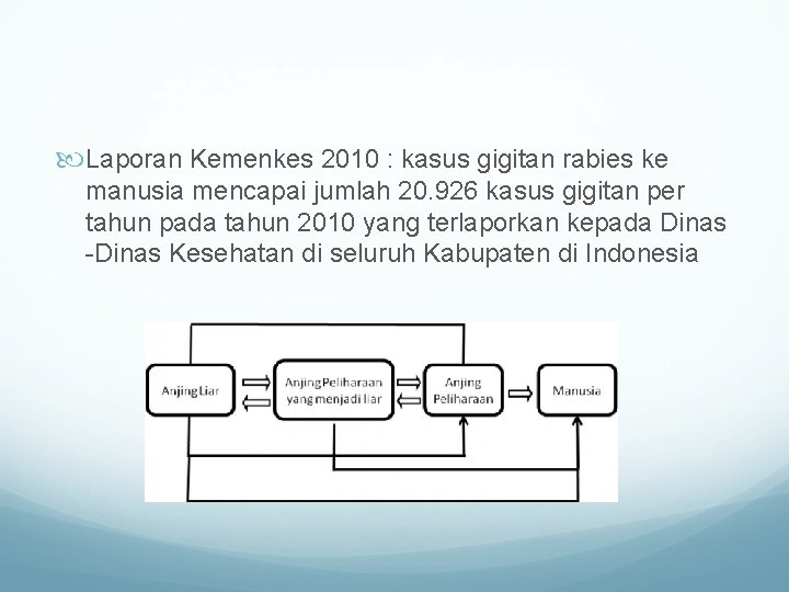  Laporan Kemenkes 2010 : kasus gigitan rabies ke manusia mencapai jumlah 20. 926