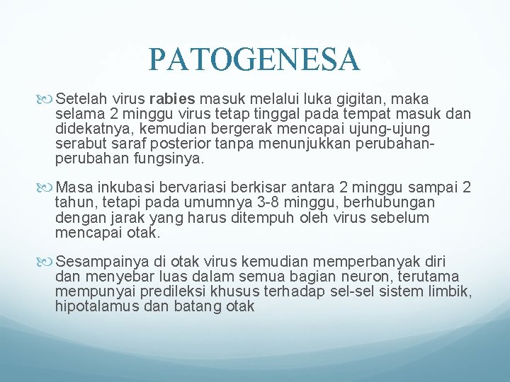 PATOGENESA Setelah virus rabies masuk melalui luka gigitan, maka selama 2 minggu virus tetap