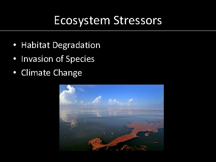 Ecosystem Stressors • Habitat Degradation • Invasion of Species • Climate Change 