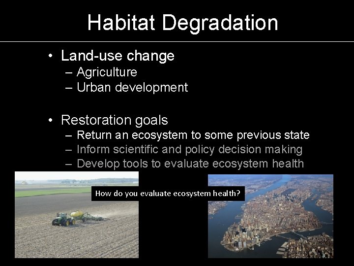 Habitat Degradation • Land-use change – Agriculture – Urban development • Restoration goals –