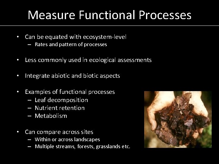 Measure Functional Processes • Can be equated with ecosystem-level – Rates and pattern of