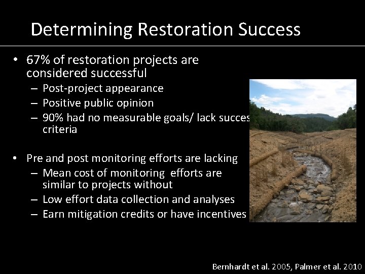 Determining Restoration Success • 67% of restoration projects are considered successful – Post-project appearance