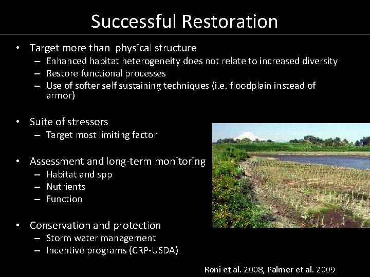 Successful Restoration • Target more than physical structure – Enhanced habitat heterogeneity does not