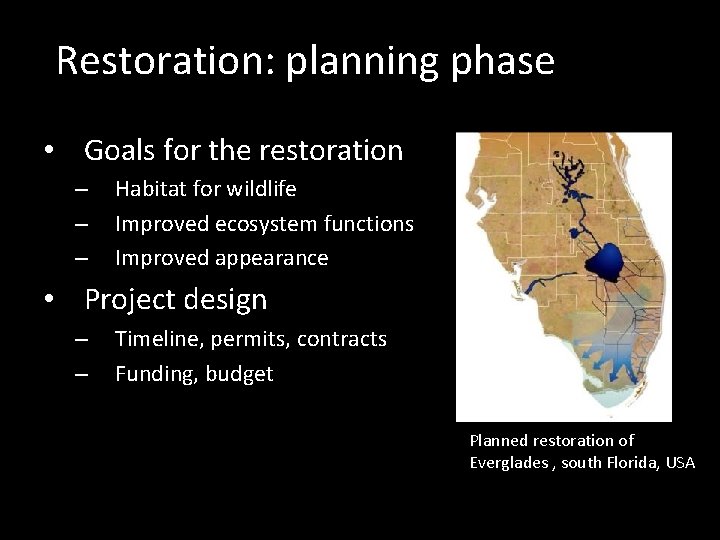 Restoration: planning phase • Goals for the restoration – – – Habitat for wildlife