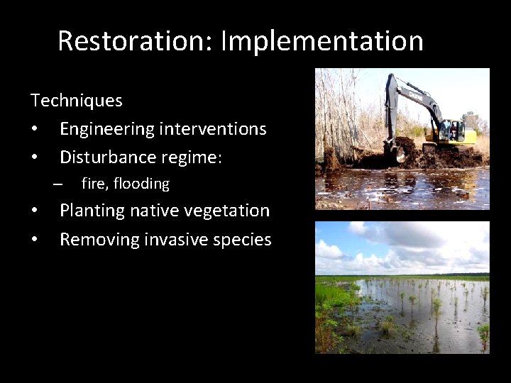 Restoration: Implementation Techniques • Engineering interventions • Disturbance regime: – • • fire, flooding