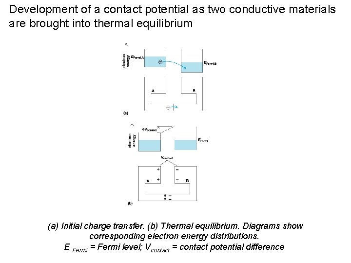 Development of a contact potential as two conductive materials are brought into thermal equilibrium