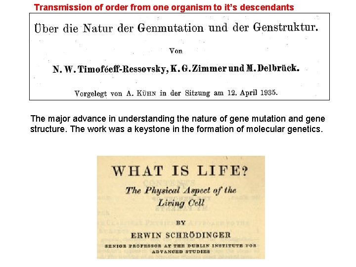 Transmission of order from one organism to it’s descendants The major advance in understanding