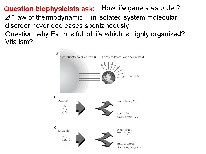 Question biophysicists ask: How life generates order? 2 nd law of thermodynamic - in